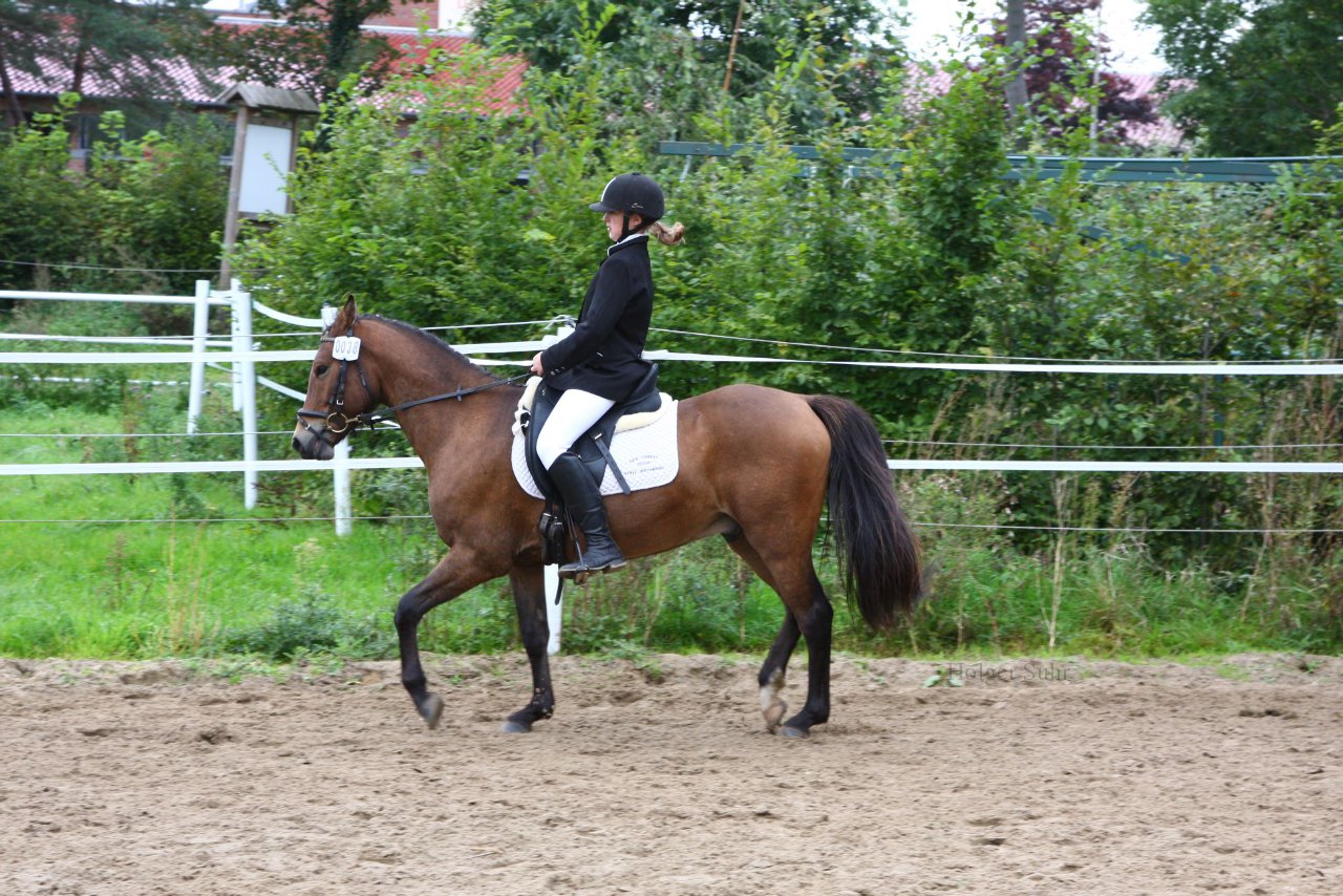 Bild 771 - WBO-Turnier am 18.9.11